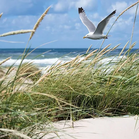 In Het Zoute Near The Appartamento *