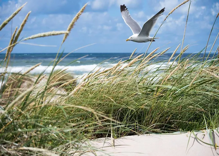 In Het Zoute Near The דירה *